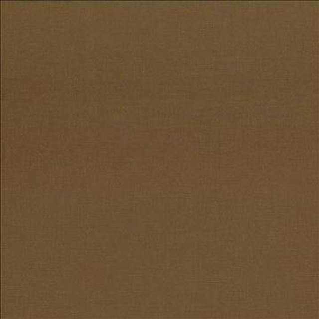 Pirouette Cocoa by Kasmir Designer Fabric 5054 100% Polyester INDIA 45,000 Wyzenbeek Double Rubs H: N/A, V: N/A 54 - 55 - Swanky Fabrics - Kasmir