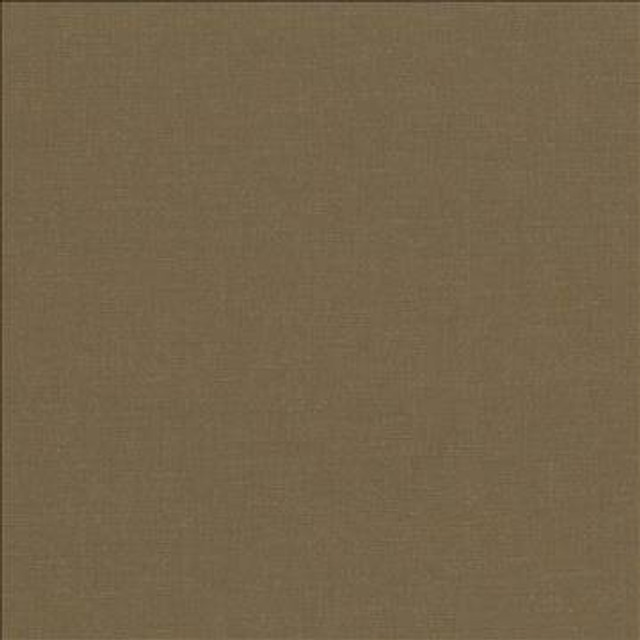 Pirouette Olive by Kasmir Designer Fabric 5054 100% Polyester INDIA 45,000 Wyzenbeek Double Rubs H: N/A, V: N/A 54 - 55 - Swanky Fabrics - Kasmir