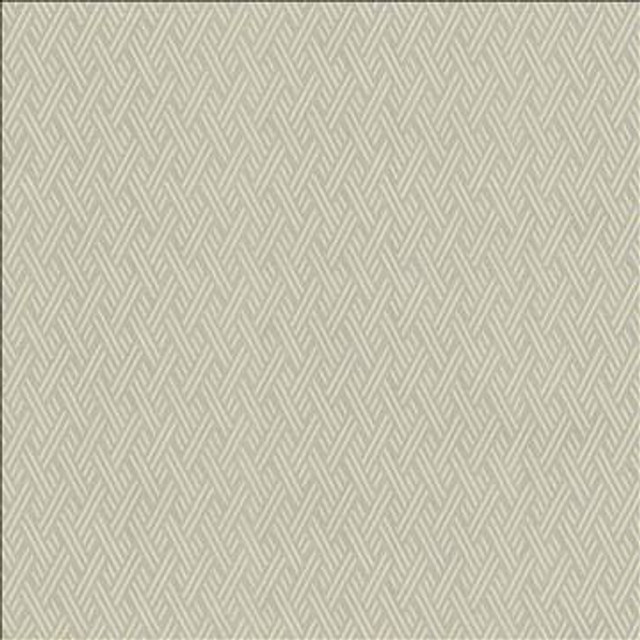 Rockweave Silver by Kasmir Designer Fabric 5118 100% Polyester USA 6,000 Wyzenbeek Double Rubs H: 1 inches, V: 1 7/8 inches 55 - Swanky Fabrics - Kasmir