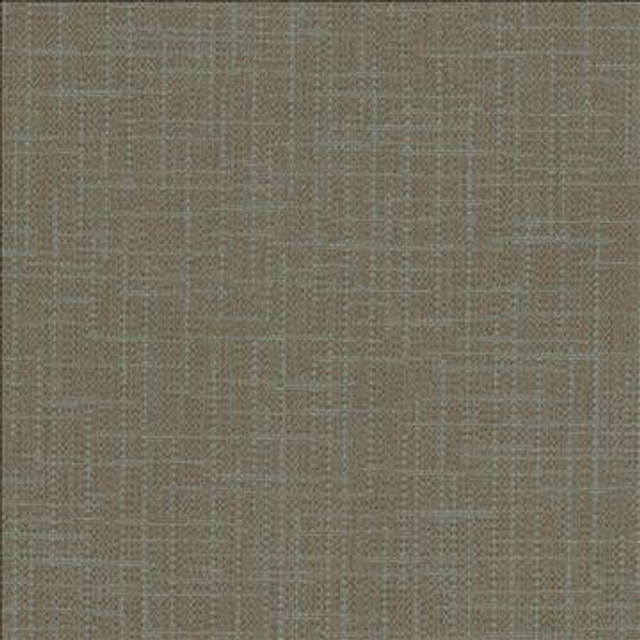 San Carlos Graphite by Kasmir Designer Fabric 5050 100% Polyester INDIA 25,000 Wyzenbeek Double Rubs H: N/A, V: N/A 54 - 55 - Swanky Fabrics - Kasmir