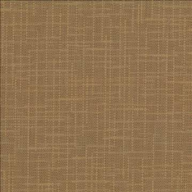 San Carlos Terrain by Kasmir Designer Fabric 5050 100% Polyester INDIA 25,000 Wyzenbeek Double Rubs H: N/A, V: N/A 54 - 55 - Swanky Fabrics - Kasmir