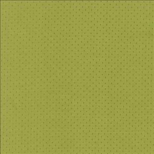 Scruple Lime by Kasmir Designer Fabric 5099 100% Polyester INDIA 20,000 Wyzenbeek Double Rubs H: 6/8 inches, V: 6/8 inches 54 - 55 - Swanky Fabrics - Kasmir