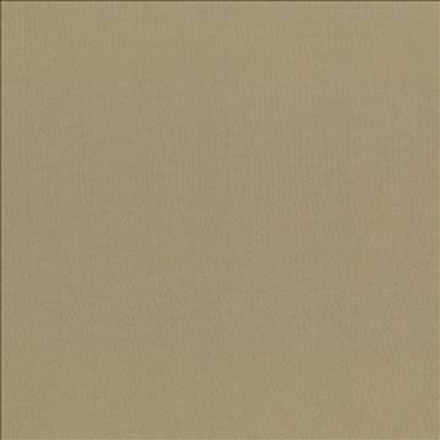Seductive Antique by Kasmir Designer Fabric 5052 100% Polyester INDIA 6,000 Wyzenbeek Double Rubs H: N/A, V: N/A 53 - Swanky Fabrics - Kasmir
