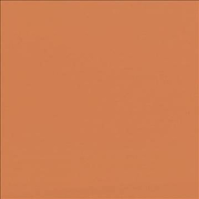 Seductive Pumpkin by Kasmir Designer Fabric 5052 100% Polyester INDIA 6,000 Wyzenbeek Double Rubs H: N/A, V: N/A 53 - Swanky Fabrics - Kasmir