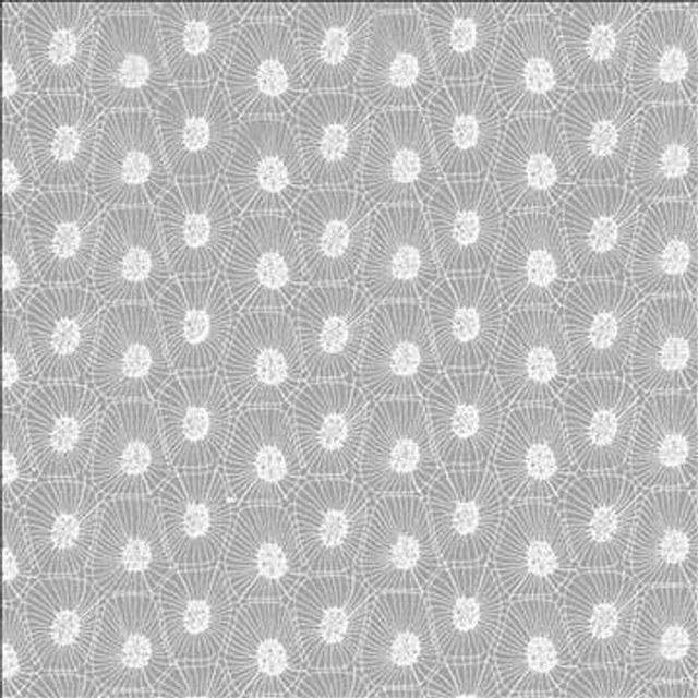 Stratagems White by Kasmir Designer Fabric 5108 100% Polyester TURKEY Not Tested H: 5 6/8 inches, V: 4 inches 58 - Swanky Fabrics - Kasmir