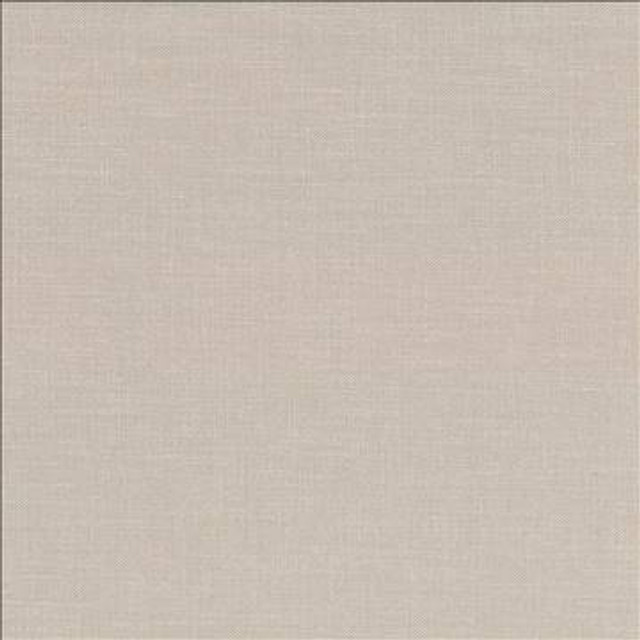 Subtle Chic Beige by Kasmir Designer Fabric 5040 100% Polyester INDIA 50,000 Wyzenbeek Double Rubs H: N/A, V: N/A 55 - 57 - Swanky Fabrics - Kasmir
