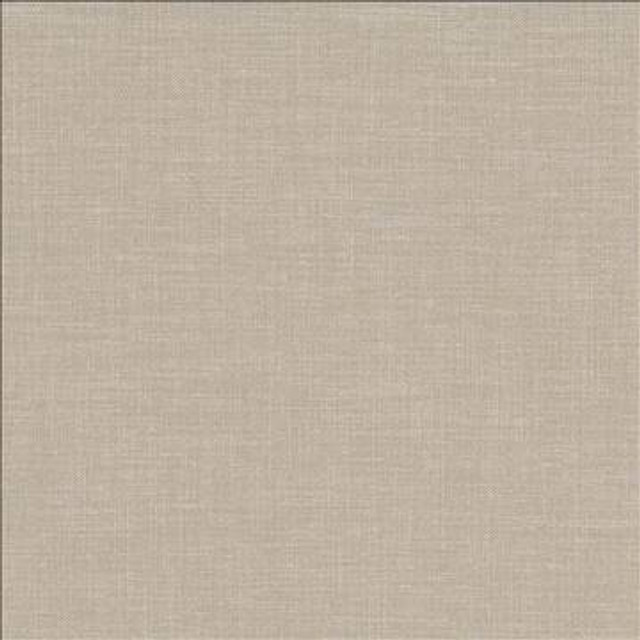 Subtle Chic Latte by Kasmir Designer Fabric 5040 100% Polyester INDIA 50,000 Wyzenbeek Double Rubs H: N/A, V: N/A 55 - 57 - Swanky Fabrics - Kasmir