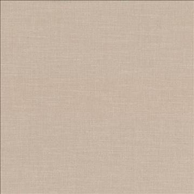Subtle Chic Sand by Kasmir Designer Fabric 5040 100% Polyester INDIA 50,000 Wyzenbeek Double Rubs H: N/A, V: N/A 55 - 57 - Swanky Fabrics - Kasmir