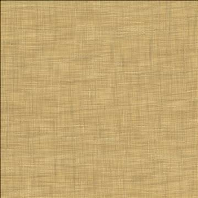 Tao Texture Parchment by Kasmir Designer Fabric 5061 100% Polyester INDIA Not Tested H: N/A, V: N/A 54 - Swanky Fabrics - Kasmir