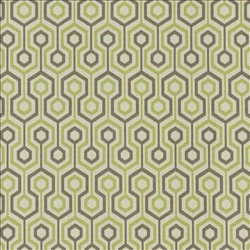 Trivago Olive by Kasmir Designer Fabric 5090 62% Cotton 38% Polyester CHINA 30,000 Wyzenbeek Double Rubs H: 2 2/8 inches, V: 6 6/8 inches 54 - Swanky Fabrics - Kasmir
