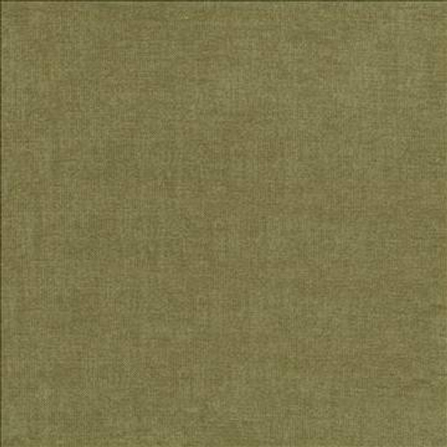 Vestige Driftwood by Kasmir Designer Fabric 5051 100% Polyester CHINA 30,000 Wyzenbeek Double Rubs H: N/A, V: N/A 55 - Swanky Fabrics - Kasmir