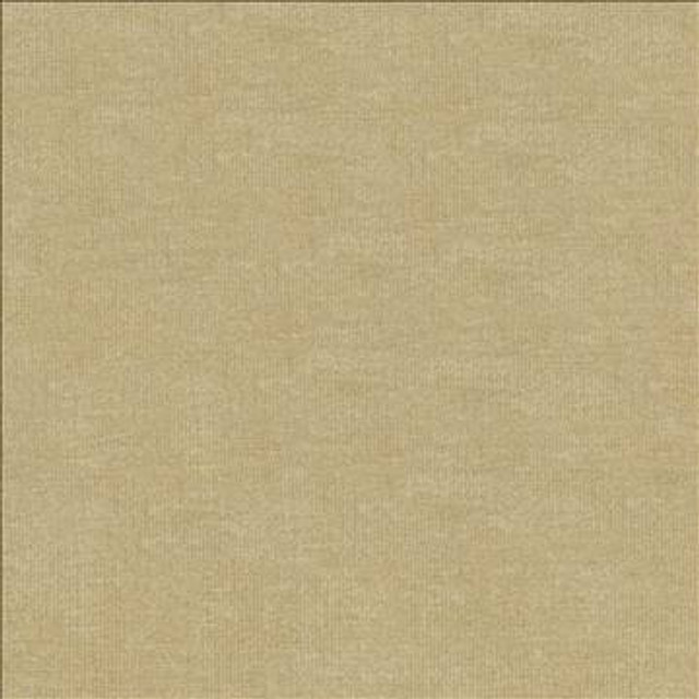 Vestige Pumice by Kasmir Designer Fabric 5051 100% Polyester CHINA 30,000 Wyzenbeek Double Rubs H: N/A, V: N/A 55 - Swanky Fabrics - Kasmir