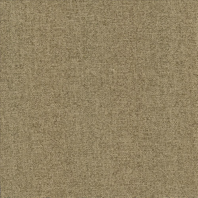 Brandon Mushroom by Kasmir Designer Fabric 5159 100% Polyester CHINA 50,000 Wyzenbeek Double Rubs Horizontal: 0 Inches and Vertical: 0 Inches 54 - Swanky Fabrics -