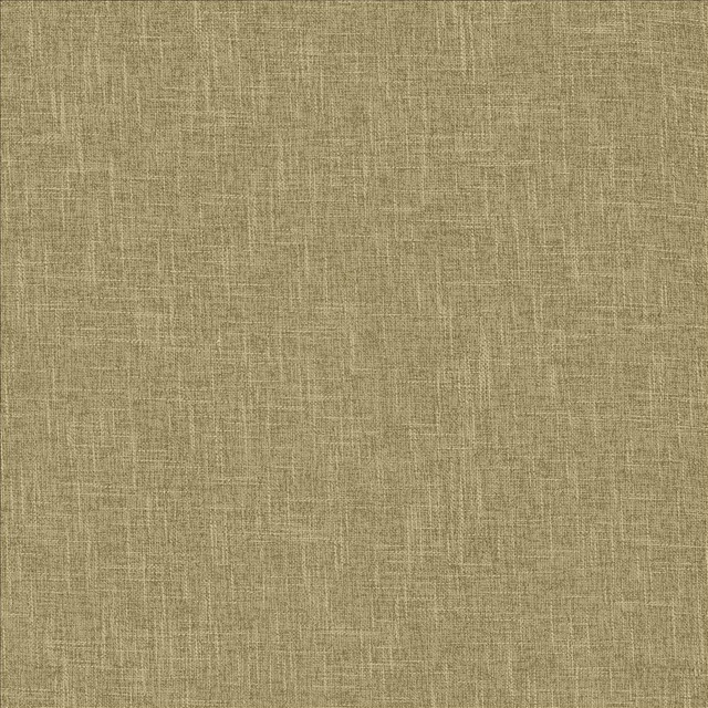 Scope Husk by Kasmir Designer Fabric 5159 100% Polyester CHINA 50,000 Wyzenbeek Double Rubs Horizontal: 0 Inches and Vertical: 0 Inches 54 - Swanky Fabrics -