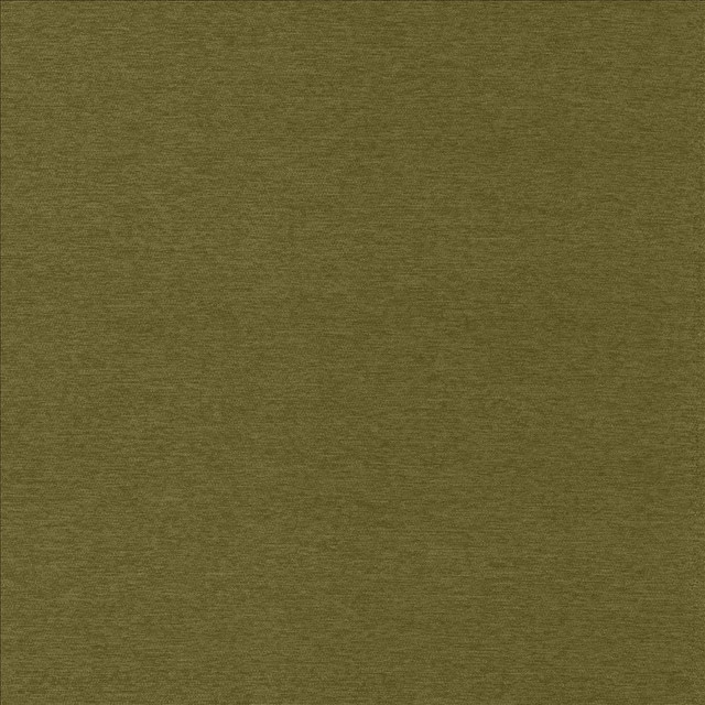 Sheena Avocado by Kasmir Designer Fabric 5159 95% Polyester 5% Nylon CHINA 50,000 Wyzenbeek Double Rubs Horizontal: 0 Inches and Vertical: 0 Inches 54 - Swanky Fabrics -