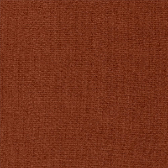 Snug Blossom by Kasmir Designer Fabric 5159 100% Polyester CHINA 50,000 Wyzenbeek Double Rubs Horizontal: 0 Inches and Vertical: 0 Inches 54 - Swanky Fabrics -