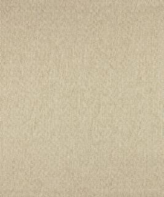 Pupil 11111 M10310 by Barrow Industries Designer Fabric Modern/Contemporary/17CL09 79% POLYESTER (S)
21% POLYESTER (F) Asia 50,000 DOUBLE RUBS Horizontal: 3/4" and Vertical: 3/4" 58" - Swanky Fabrics -