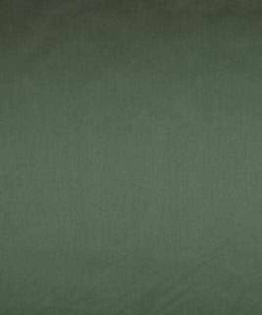 Caitlyn Shore M7407 by Barrow Industries Designer Fabric Multi-Purpose/13CL03 100% POLYESTER FILAMENT NON-TEXTURED Asia 50,000 DOUBLE RUBS Horizontal: N/A and Vertical: N/A 58" - Swanky Fabrics -