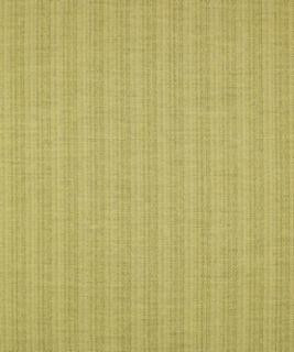 Top Of The Heap Bamboo M9273 by Barrow Industries Designer Fabric Performance Fabrics/12CL06 100% POLYESTER FILAMENT NON-TEXTURED Asia 30,000 DOUBLE RUBS Horizontal: - and Vertical: - 58" - Swanky Fabrics -