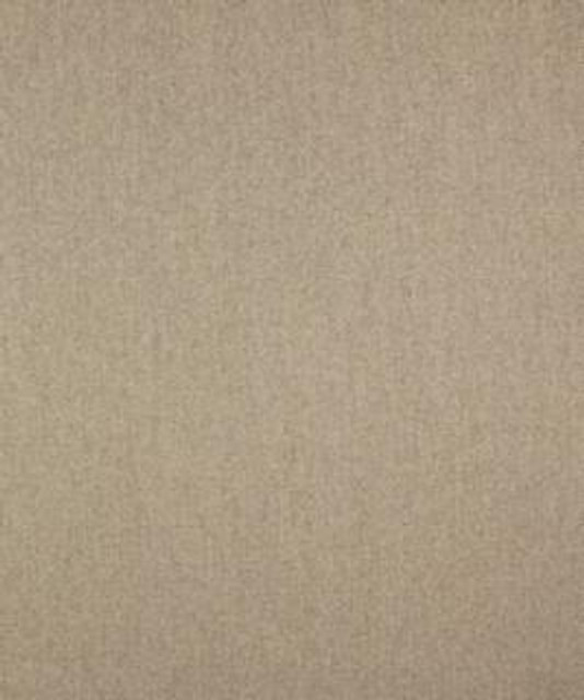 Energy 11002 M10156 by Barrow Industries Designer Fabric Textures/Solids/17C05 100% POLYESTER Asia 15,000 DOUBLE RUBS Horizontal: - and Vertical: - 57" - Swanky Fabrics -