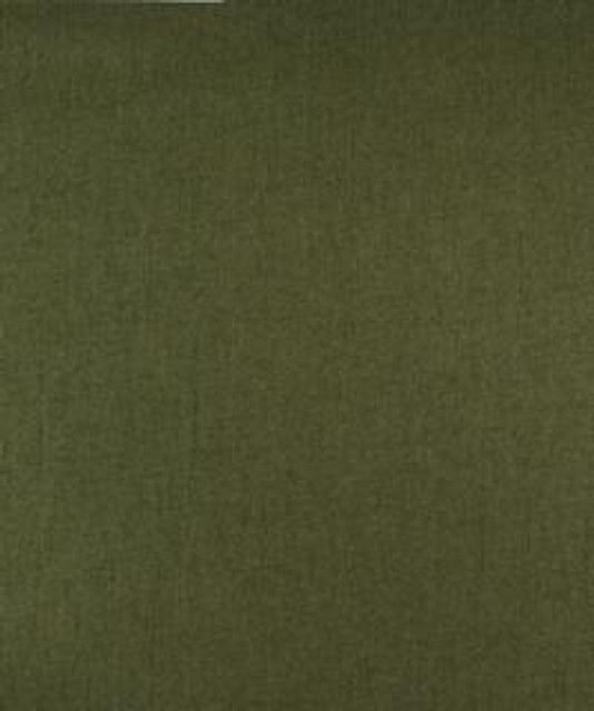 Gladstone 12106 M9896 by Barrow Industries Designer Fabric Textures/Solids/17C06 57% POLYESTER FILAMENT-TEXTURED
43% POLYESTER FILAMENT NON-TEXTURED Asia 30,000 DOUBLE RUBS Horizontal: - and Vertical: - 56" - Swanky Fabrics - Gladstone 12106 M9896 by Barrow Industries Designer Fabric Textures/Solids/17C06 57% POLYESTER FILAMENT-TEXTURED
43% POLYESTER FILAMENT NON-TEXTURED Asia 30,000 DOUBLE RUBS Horizontal: - and Vertical: - 56" - Swanky Fabrics -
