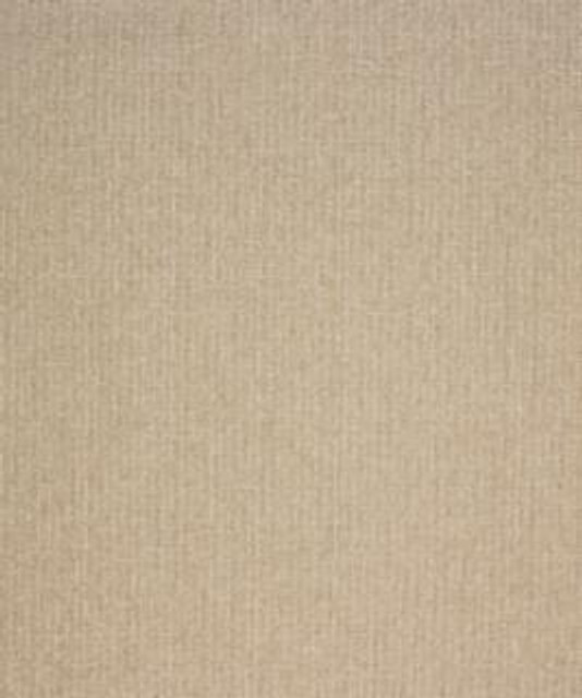 Philander 11102 M10542 by Barrow Industries Designer Fabric Textures/Solids/18C10 55% POLYESTER (F)
42% POLYESTER (S)
3% ACRYLIC (F) Asia 36,000 DOUBLE RUBS Horizontal: - and Vertical: - 58" - Swanky Fabrics -