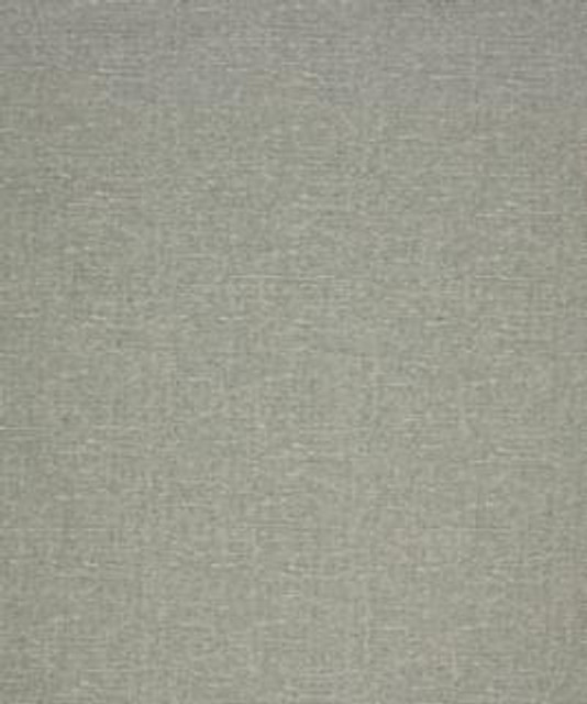 Philander 12103 M10542 by Barrow Industries Designer Fabric Textures/Solids/18C10 55% POLYESTER (F)
42% POLYESTER (S)
3% ACRYLIC (F) Asia 36,000 DOUBLE RUBS Horizontal: - and Vertical: - 58" - Swanky Fabrics -