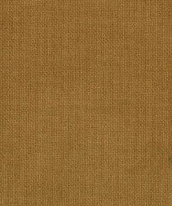 Flannigan Camel M7926 by Barrow Industries Designer Fabric Traditional/2869 80% POLYESTER
20% NYLON Asia 24,000 DOUBLE RUBS Horizontal: N/A and Vertical: N/A 59" - Swanky Fabrics -