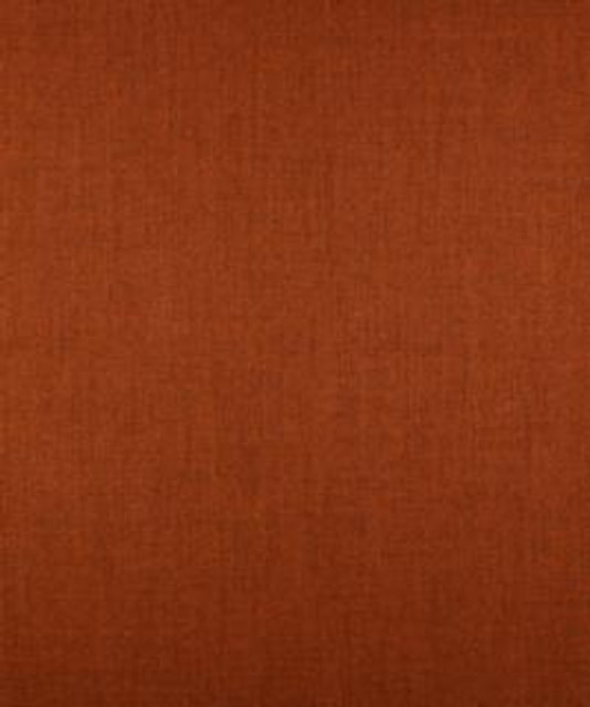 Wyland Redwood M9271 by Barrow Industries Designer Fabric Transitional/1213 100% POLYESTER FILAMENT NON-TEXTURED Asia 45,000 DOUBLE RUBS Horizontal: - and Vertical: - 58" - Swanky Fabrics -