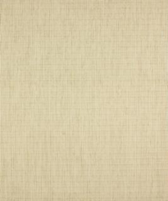 Bedazzle Flax M8923 by Barrow Industries Designer Fabric Transitional/12CL05 51% RAYON
49% POLYESTER Asia 70,000 DOUBLE RUBS Horizontal: N/A and Vertical: N/A 57" - Swanky Fabrics -