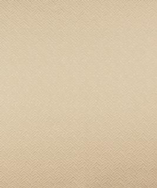 Prague 21102 M10278 by Barrow Industries Designer Fabric Transitional/18CL07 65% COTTON
35% POLYESTER Asia 30,000 DOUBLE RUBS Horizontal: 1 1/2" and Vertical: 1 1/2" 59" - Swanky Fabrics -