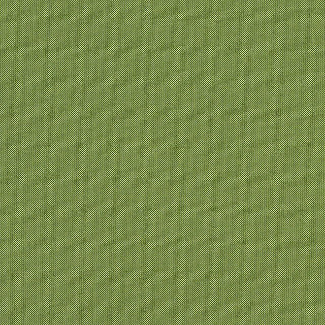 48022  Spectrum Cilantro by Sunbrella Designer Fabric our website for purchase 100% Sunbrella Acrylic USA (see sample) n/a 54"  - Swanky Fabrics - 48022  Spectrum Cilantro by Sunbrella Designer Fabric our website for purchase 100% Sunbrella Acrylic USA (see sample) n/a 54"  - Swanky Fabrics -