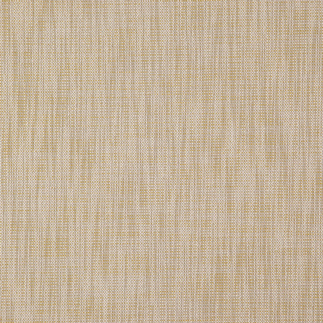 ALASTOR 15J7851 by JF Designer Fabric ALASTOR 100% Polyester INDIA ABRASIO (HEAVY DUTY- 30,000+ DOUBLE RUBS) Horizontal: N/A and Vertical: N/A 55.00 - Swanky Fabrics -