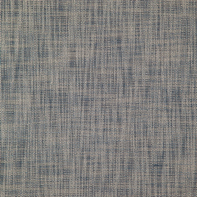 ALASTOR 66J7851 by JF Designer Fabric ALASTOR 100% Polyester INDIA ABRASIO (HEAVY DUTY- 30,000+ DOUBLE RUBS) Horizontal: N/A and Vertical: N/A 55.00 - Swanky Fabrics -