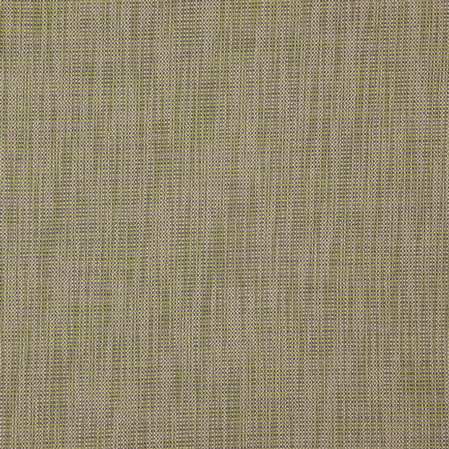 ALASTOR 74J7851 by JF Designer Fabric ALASTOR 100% Polyester INDIA ABRASIO (HEAVY DUTY- 30,000+ DOUBLE RUBS) Horizontal: N/A and Vertical: N/A 55.00 - Swanky Fabrics -