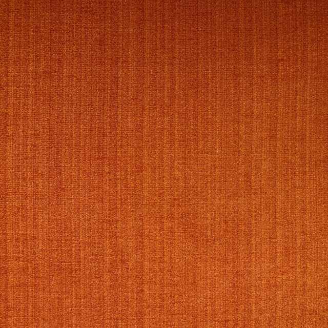 Champion 25J6391 by JF Designer Fabric Champion Book 83% Polyester, 17% Cotton India 90000 Horizontal: and Vertical: 55 - Swanky Fabrics -