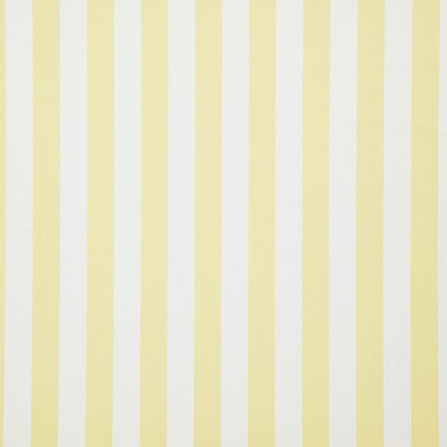 FALSETTO 14J7611 by JF Designer Fabric LE CIRQUE 59% Cotton, 41% Polyester INDIA ABRASIO (HEAVY DUTY- 30,000+ DOUBLE RUBS) Horizontal: 2.000 and Vertical: N/A 55.00 - Swanky Fabrics -