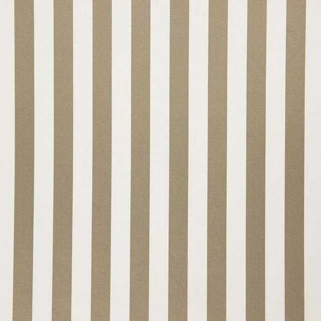 FALSETTO 34J7611 by JF Designer Fabric LE CIRQUE 59% Cotton, 41% Polyester INDIA ABRASIO (HEAVY DUTY- 30,000+ DOUBLE RUBS) Horizontal: 2.000 and Vertical: N/A 55.00 - Swanky Fabrics -