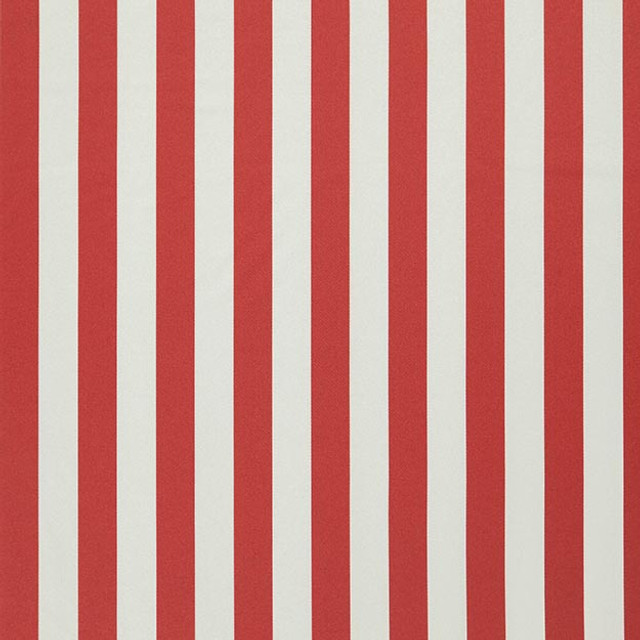 FALSETTO 46J7611 by JF Designer Fabric LE CIRQUE 59% Cotton, 41% Polyester INDIA ABRASIO (HEAVY DUTY- 30,000+ DOUBLE RUBS) Horizontal: 2.000 and Vertical: N/A 55.00 - Swanky Fabrics -