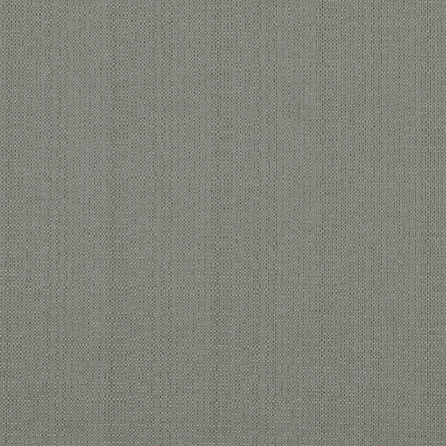 Force 96J6891 by JF Designer Fabric Winning Weaves IV 94% Polyester, 6% Cotton China 70000 Horizontal: and Vertical: 55 - Swanky Fabrics -