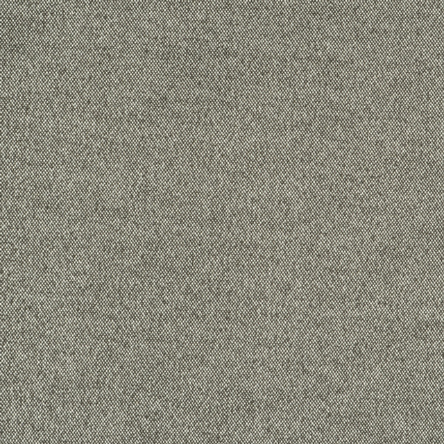 LIAM 98J6601 by JF Designer Fabric LIAM 100% Polyester CHINA ABRASIO (HEAVY DUTY- 30,000+ DOUBLE RUBS) Horizontal: N/A and Vertical: N/A 55.00 - Swanky Fabrics -