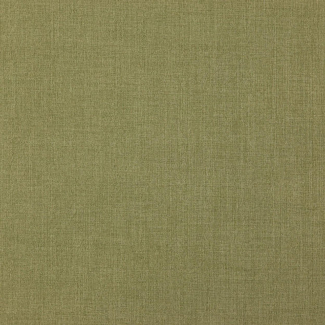 NORTH 73J7881 by JF Designer Fabric EVERYDAY NORTHEAST 100% Polyester CHINA ABRASIO (HEAVY DUTY- 30,000+ DOUBLE RUBS) Horizontal: N/A and Vertical: N/A 56.00 - Swanky Fabrics -