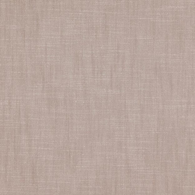 PAPARAZZI 36J7301 by JF Designer Fabric WINNING WINDOWS II 52% Cotton, 48% Polyester INDIA ABRASIO (HEAVY DUTY- 30,000+ DOUBLE RUBS) Horizontal: N/A and Vertical: N/A 118.00 - Swanky Fabrics -