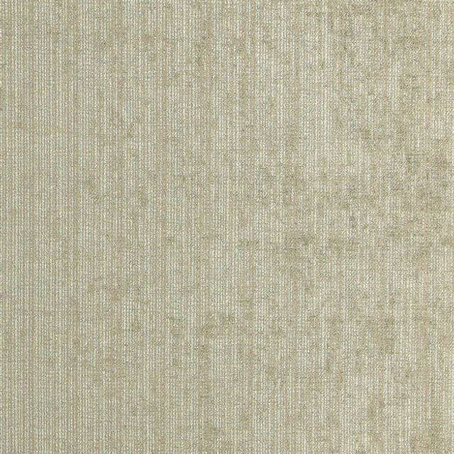 PROTECTOR 34J7081 by JF Designer Fabric WINNING WEAVES V 65% Polyester, 25% Cotton, 10% Viscose INDIA ABRASIO (HEAVY DUTY- 30,000+ DOUBLE RUBS) Horizontal: N/A and Vertical: N/A 54.00 - Swanky Fabrics -