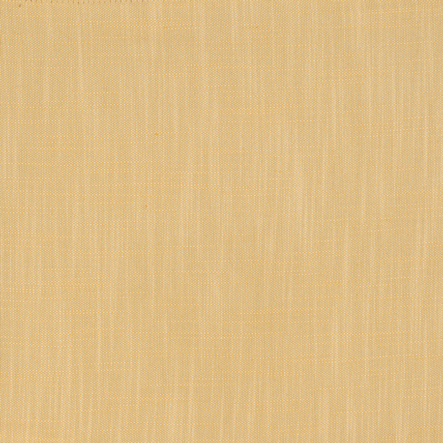 RINGO 12J6161 by JF Designer Fabric RINGO 100% Polyester TURKEY ABRASIO (HEAVY DUTY- 30,000+ DOUBLE RUBS) Horizontal: N/A and Vertical: N/A 54.00 - Swanky Fabrics -