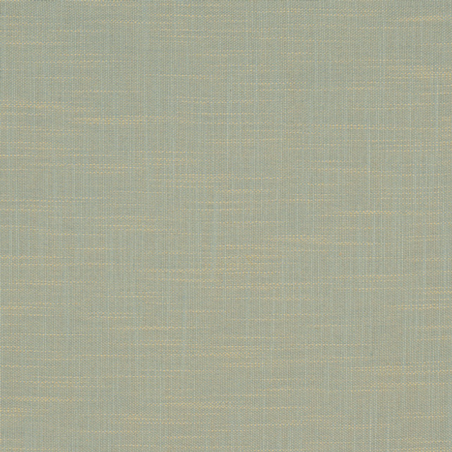 RINGO 62J6161 by JF Designer Fabric RINGO 100% Polyester TURKEY ABRASIO (HEAVY DUTY- 30,000+ DOUBLE RUBS) Horizontal: N/A and Vertical: N/A 54.00 - Swanky Fabrics -