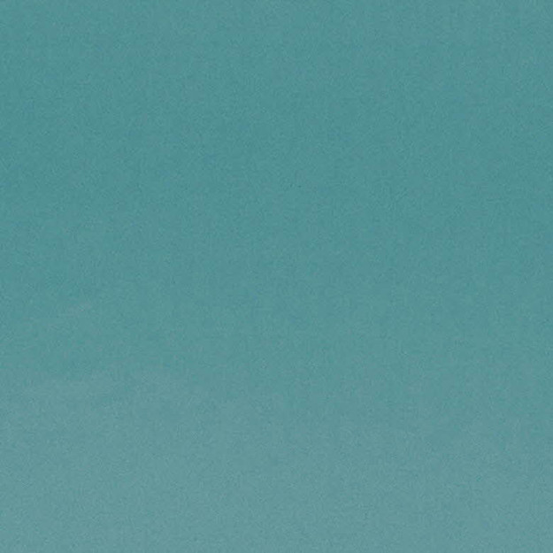 WHISPER 165J6921 by JF Designer Fabric WHISPER II 60% Cotton, 40% Polyester INDIA ABRASIO (HEAVY DUTY- 30,000+ DOUBLE RUBS) Horizontal: N/A and Vertical: N/A 53.00 - Swanky Fabrics -