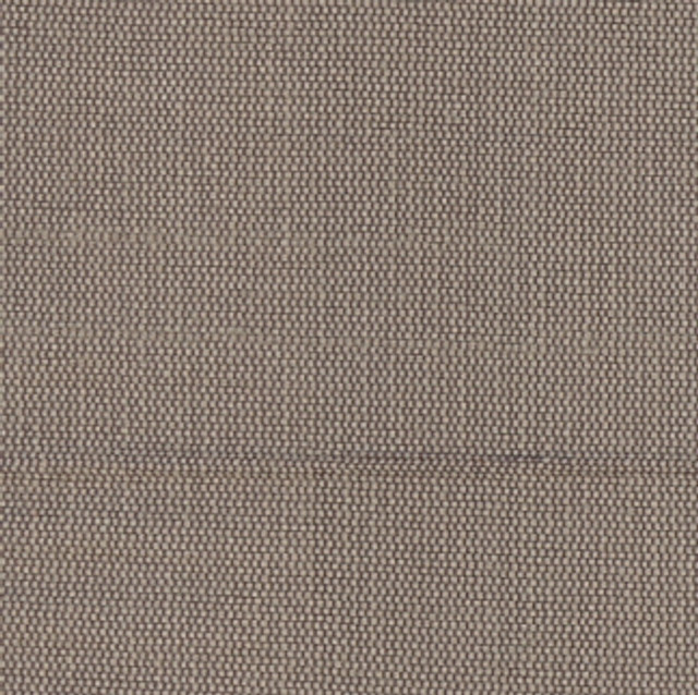 Succulent Mink by Carole Designer Fabric Succulent II 100% Polyester India N/A Horizontal: 0" and Vertical: 0" 54" - Swanky Fabrics -