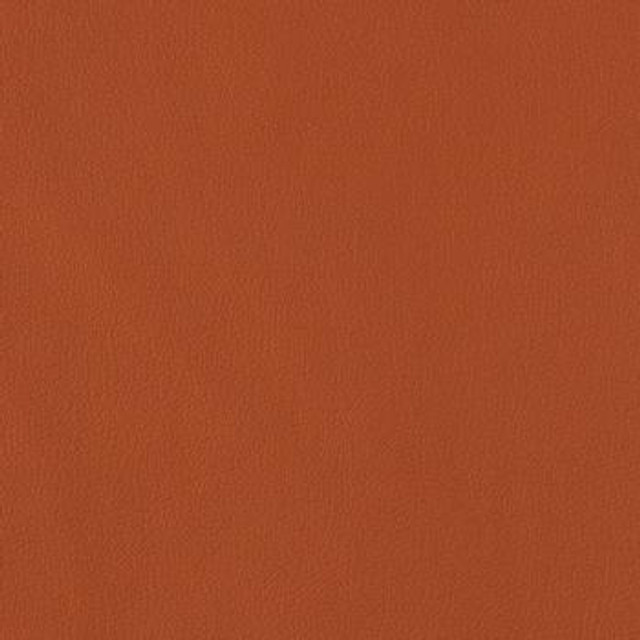 Legacy Terra Cotta LY-610 by Burch Designer Fabric our website for purchase 100% Polyurethane USA or Asia Water-based cleaning agents and foam may be used for cleaning. This fabric may also be cleaned with mild, water-free solvents. Cleaning by a professional cleaning service is recommended. Horizontal: - and Vertical: - 54" - Swanky Fabrics -