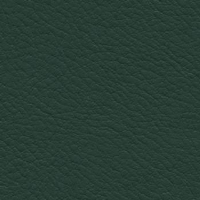 Verve Evergreen EVE-013 by Burch Designer Fabric our website for purchase 100% Polyurethane USA or Asia Water-based cleaning agents and foam may be used for cleaning. This fabric may also be cleaned with mild, water-free solvents. Cleaning by a professional cleaning service is recommended. Horizontal: - and Vertical: - 54" - Swanky Fabrics -